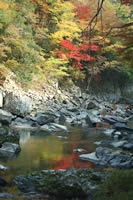 長門峡 山口県健康づくりセンター