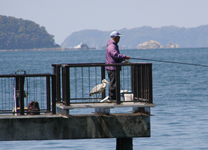 海上遊歩道