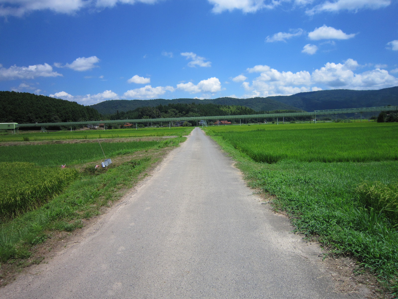 田園風景