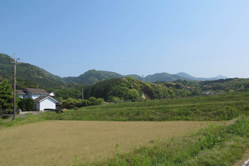 田園風景