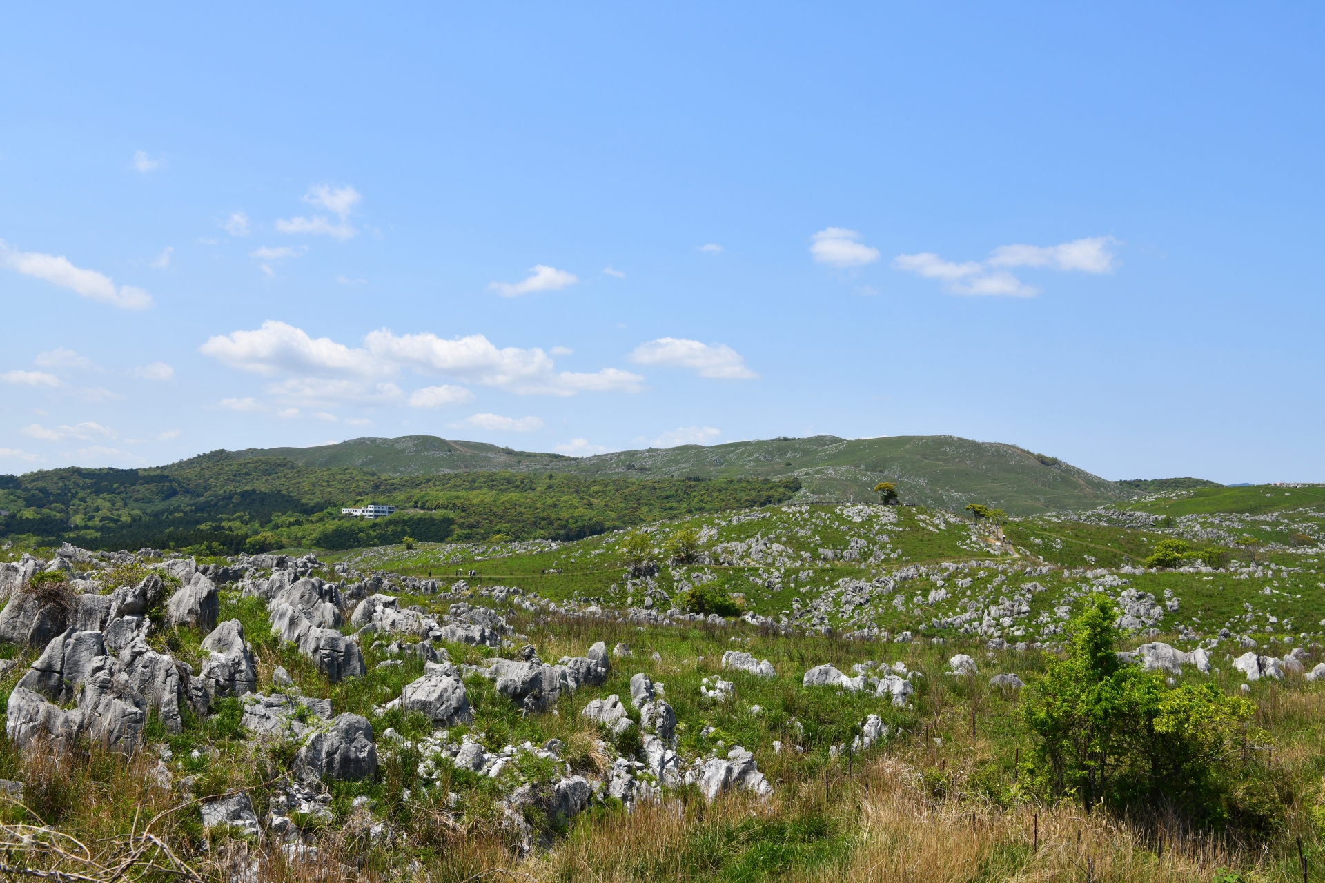 秋吉台国定公園