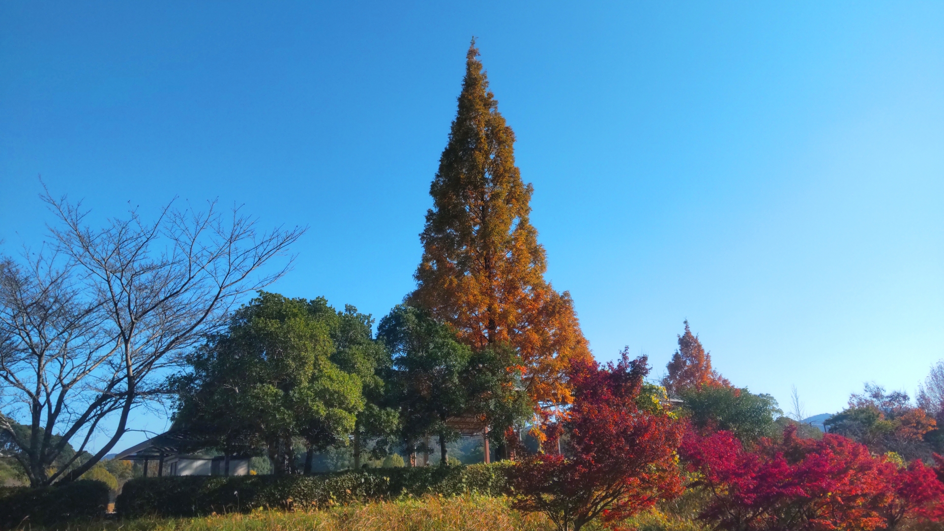 下松スポーツ公園コース