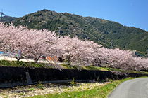 山口県総合保健会館～赤田神社［吉敷地区］