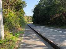 菊川町上田部森林浴コース