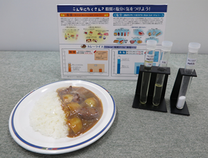 脂質・塩分摂取量指導用モデル　カレーライス