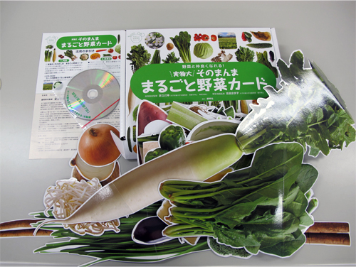 実物大そのまんま まるごと野菜カード
