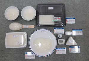 ご飯量比較フードモデル（10種）