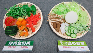 野菜1日350g　カットした野菜モデル（17種）