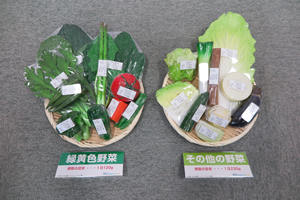 野菜1日350g指導　バイキングフードモデル（20種）
