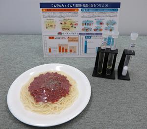 脂質・塩分摂取量指導用モデル　ミートスパゲティ