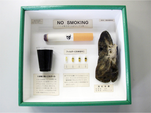 NO SMOKING（肺モデル　タールモデル）