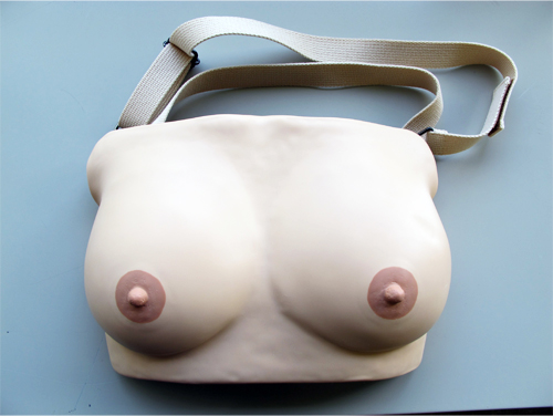 乳がん触診モデル