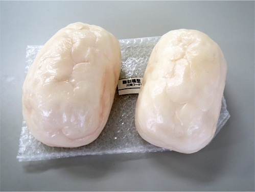 脂肪模型（1kg）