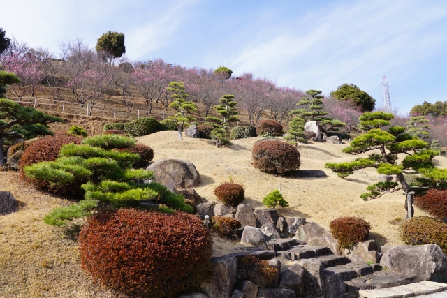 冠山総合公園コース
