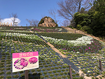 山口県セミナーパーク「自然ふれあいゾーン」