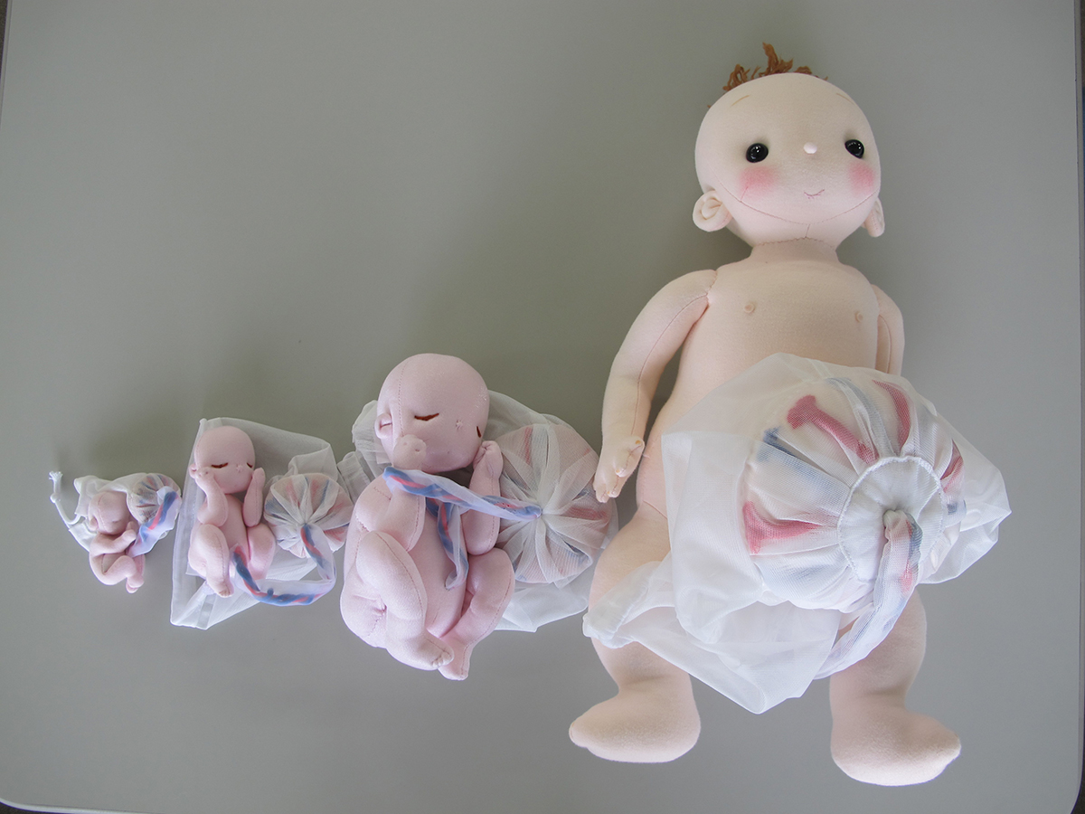胎児人形・赤ちゃん人形