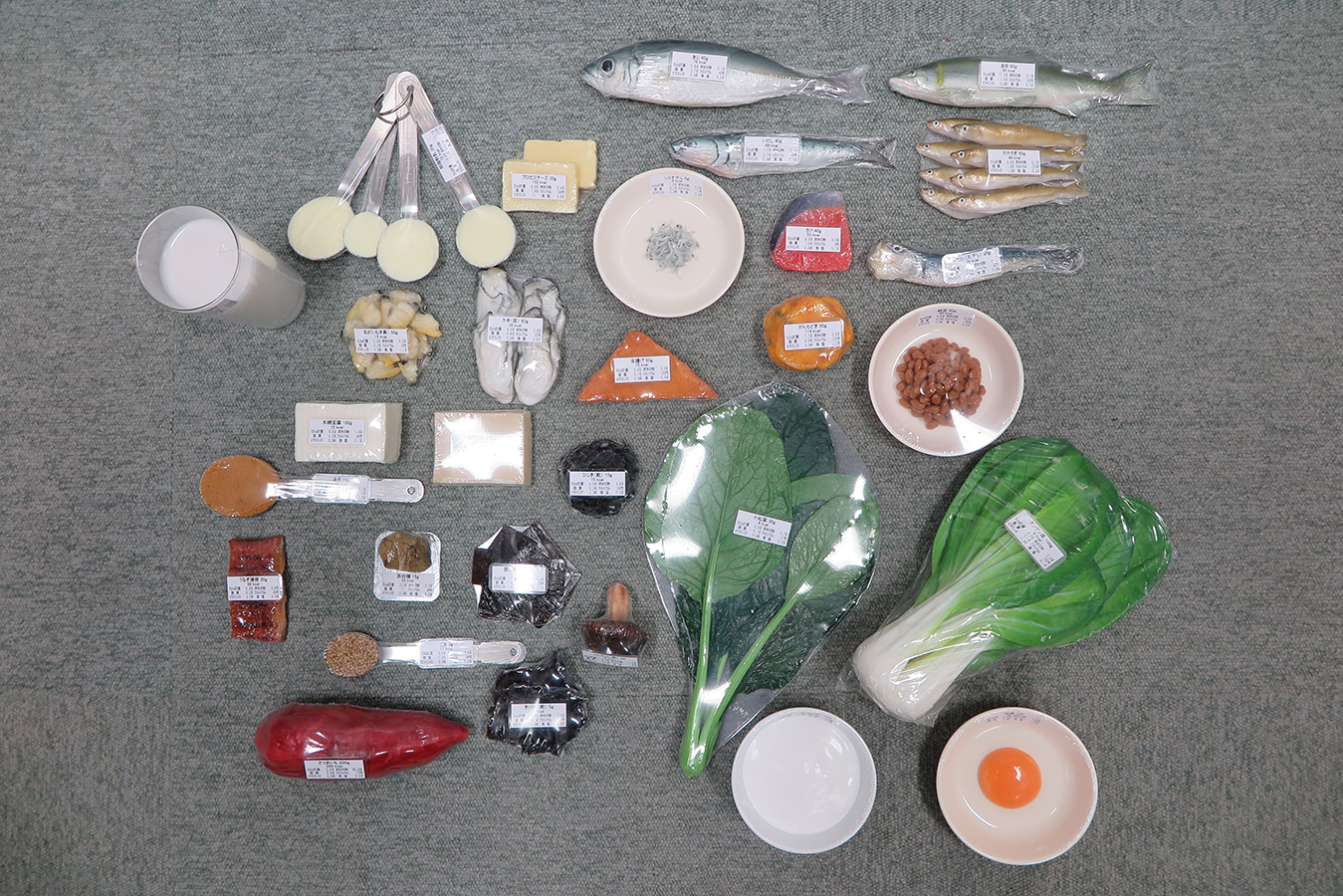 カルシウム摂取指導用食品（30種）