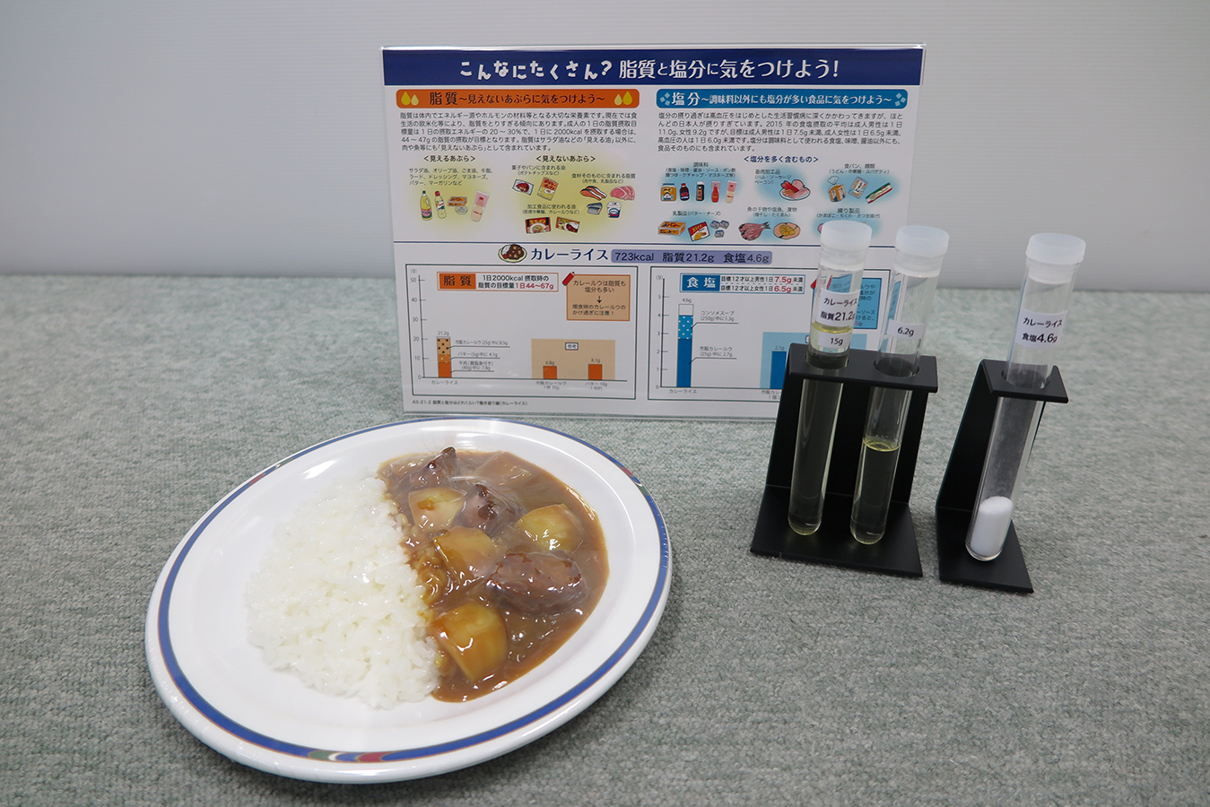 脂質・塩分摂取量指導用モデル　カレーライス