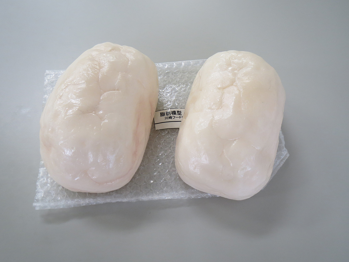 脂肪模型（1kg）