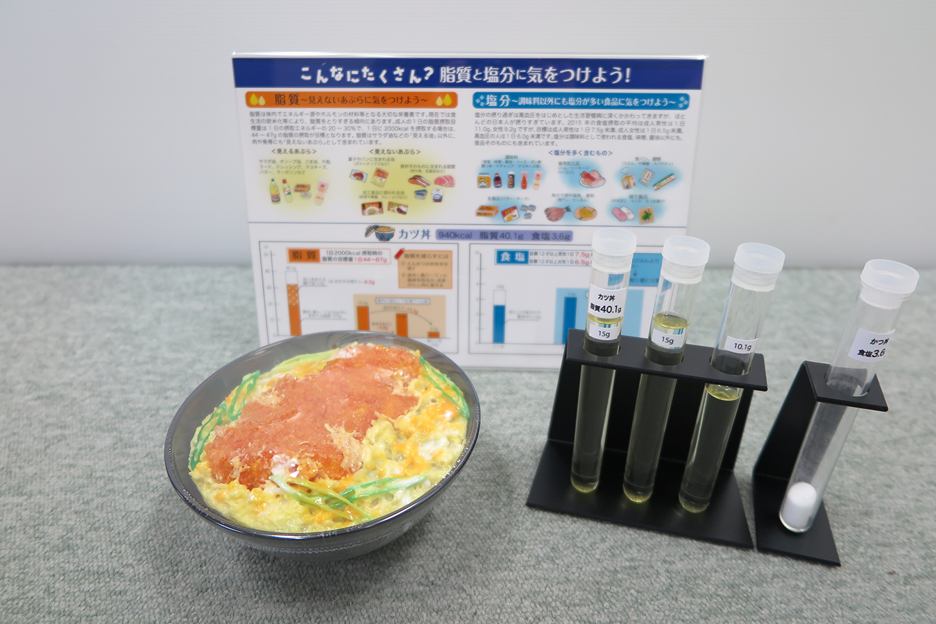 脂質・塩分摂取量指導用モデル　かつ丼