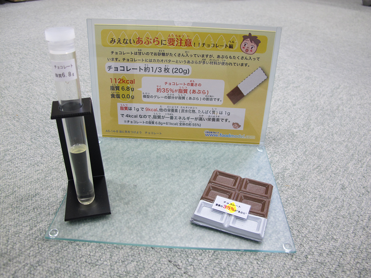 脂質摂取量指導用モデル チョコレート