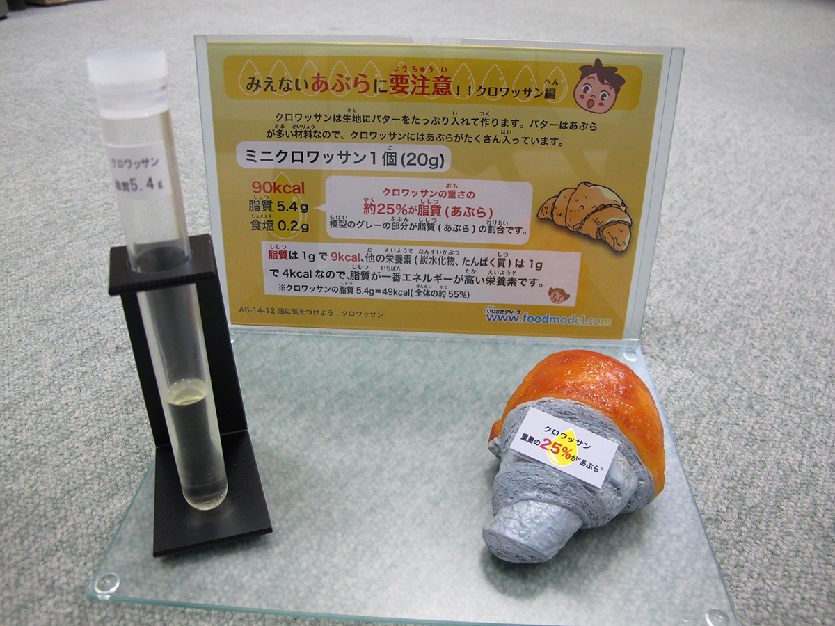 脂質摂取量指導用モデル クロワッサン