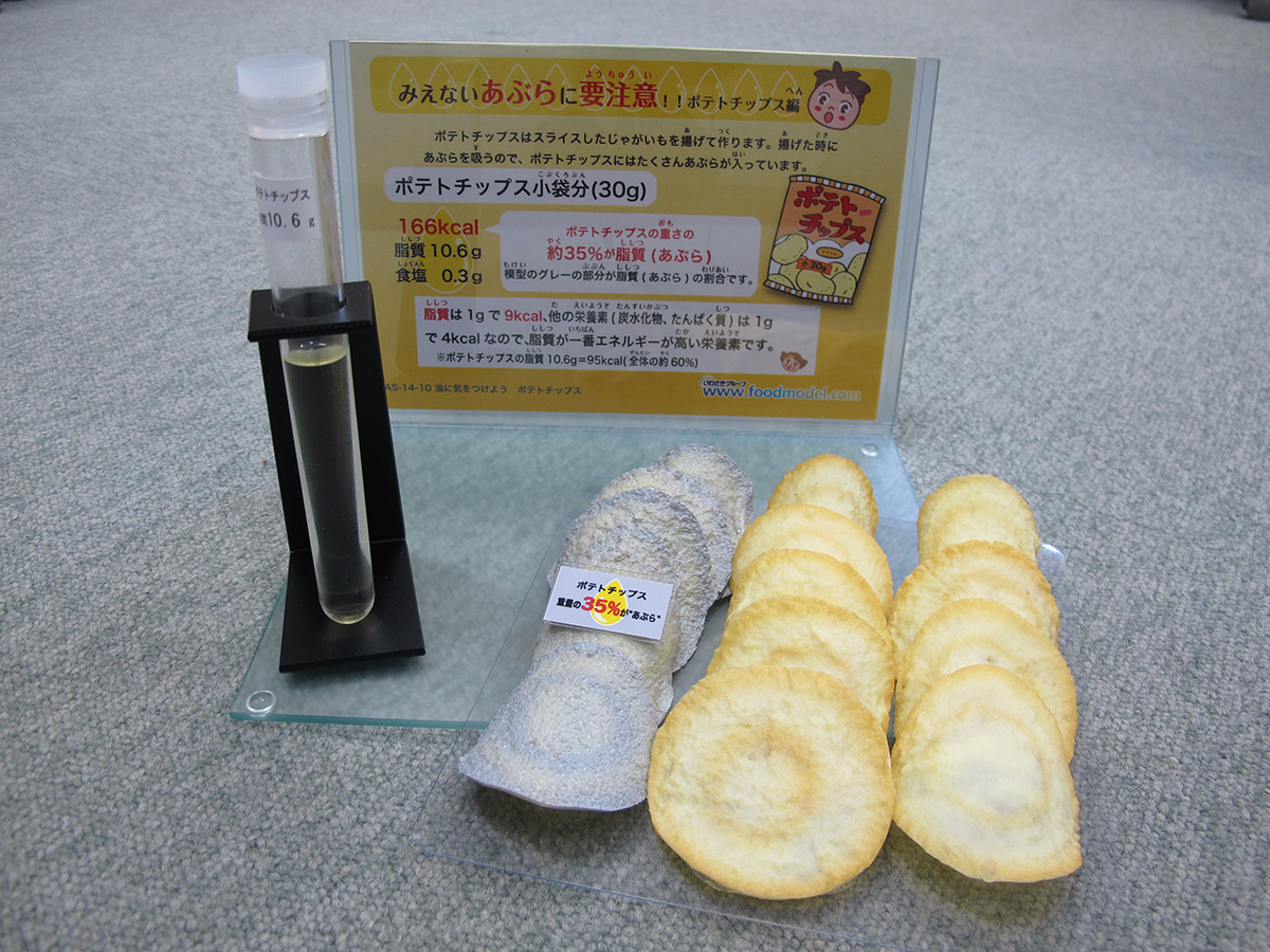 脂質摂取量指導用モデル ポテトチップス