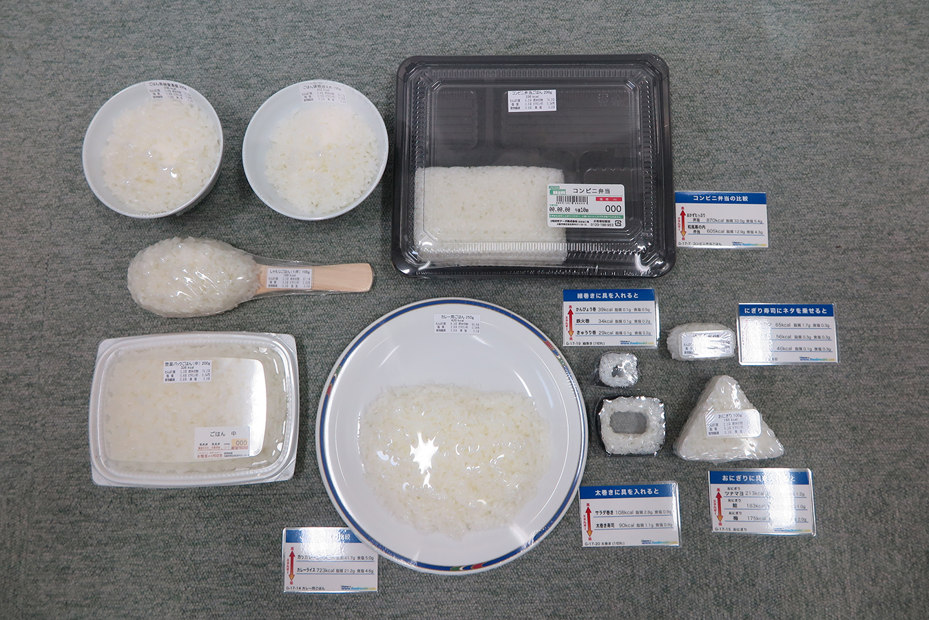 ご飯量比較フードモデル（10種）