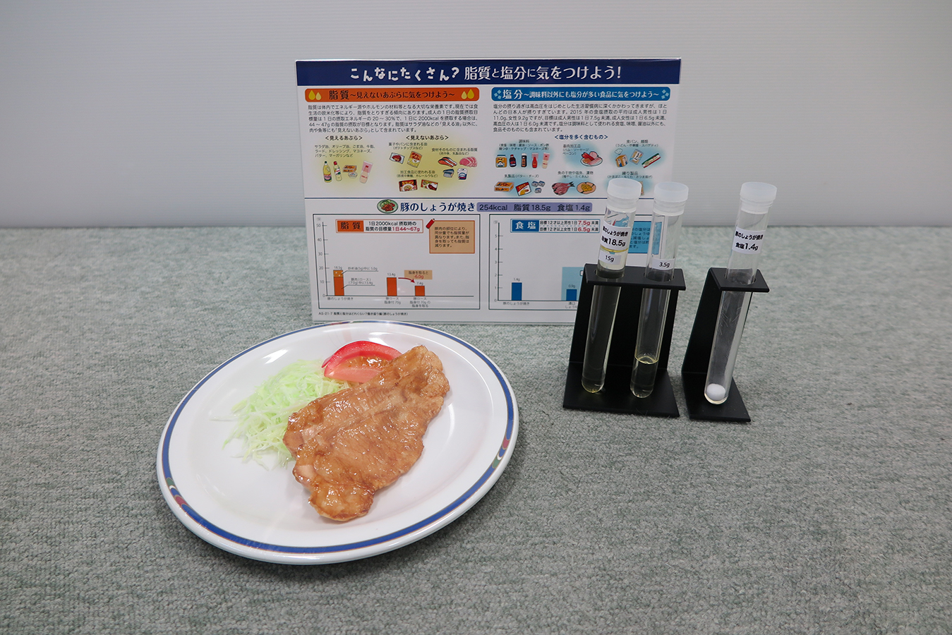 脂質・塩分摂取量指導用モデル　豚しょうが焼き