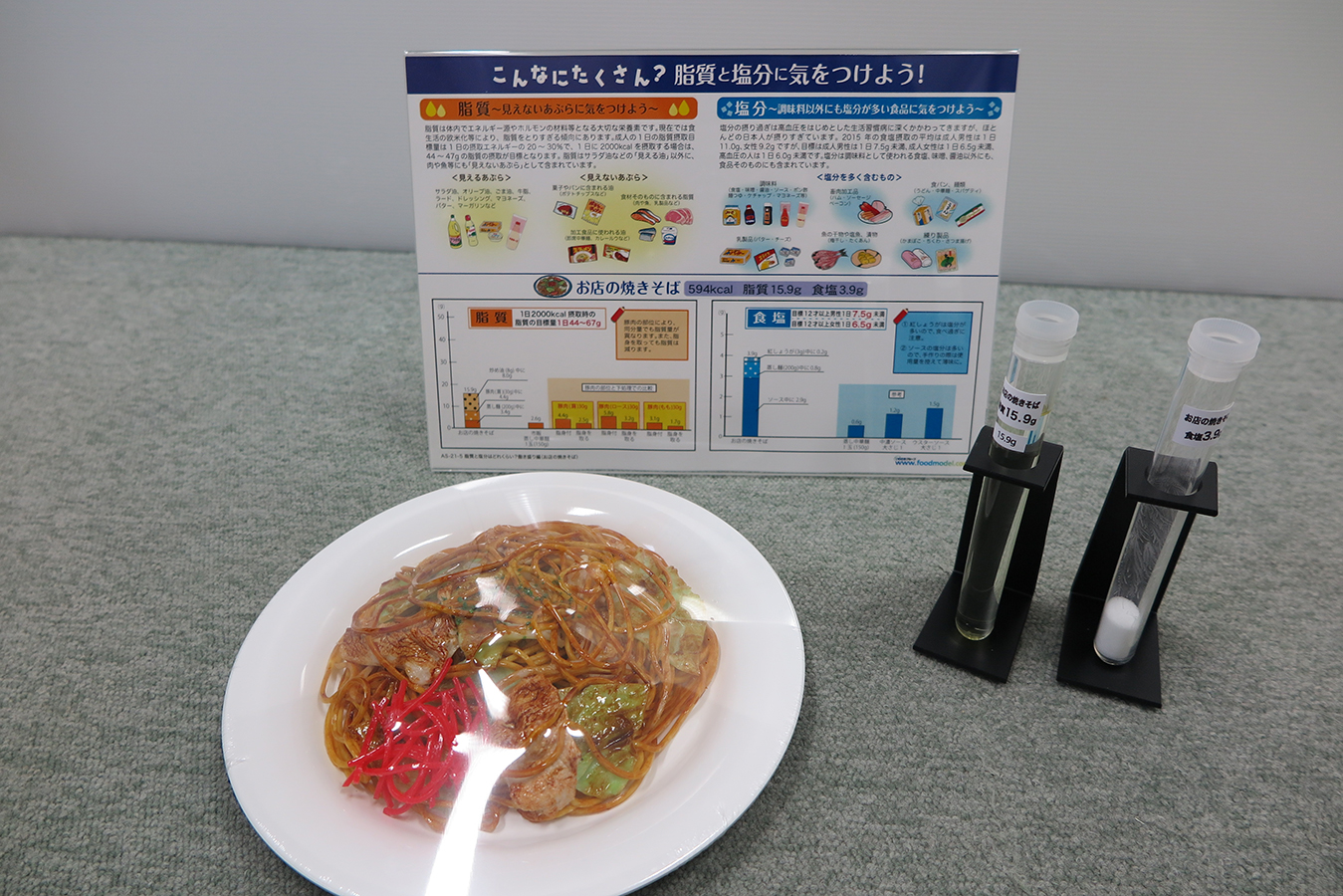 脂質・塩分摂取量指導用モデル　お店の焼きそば