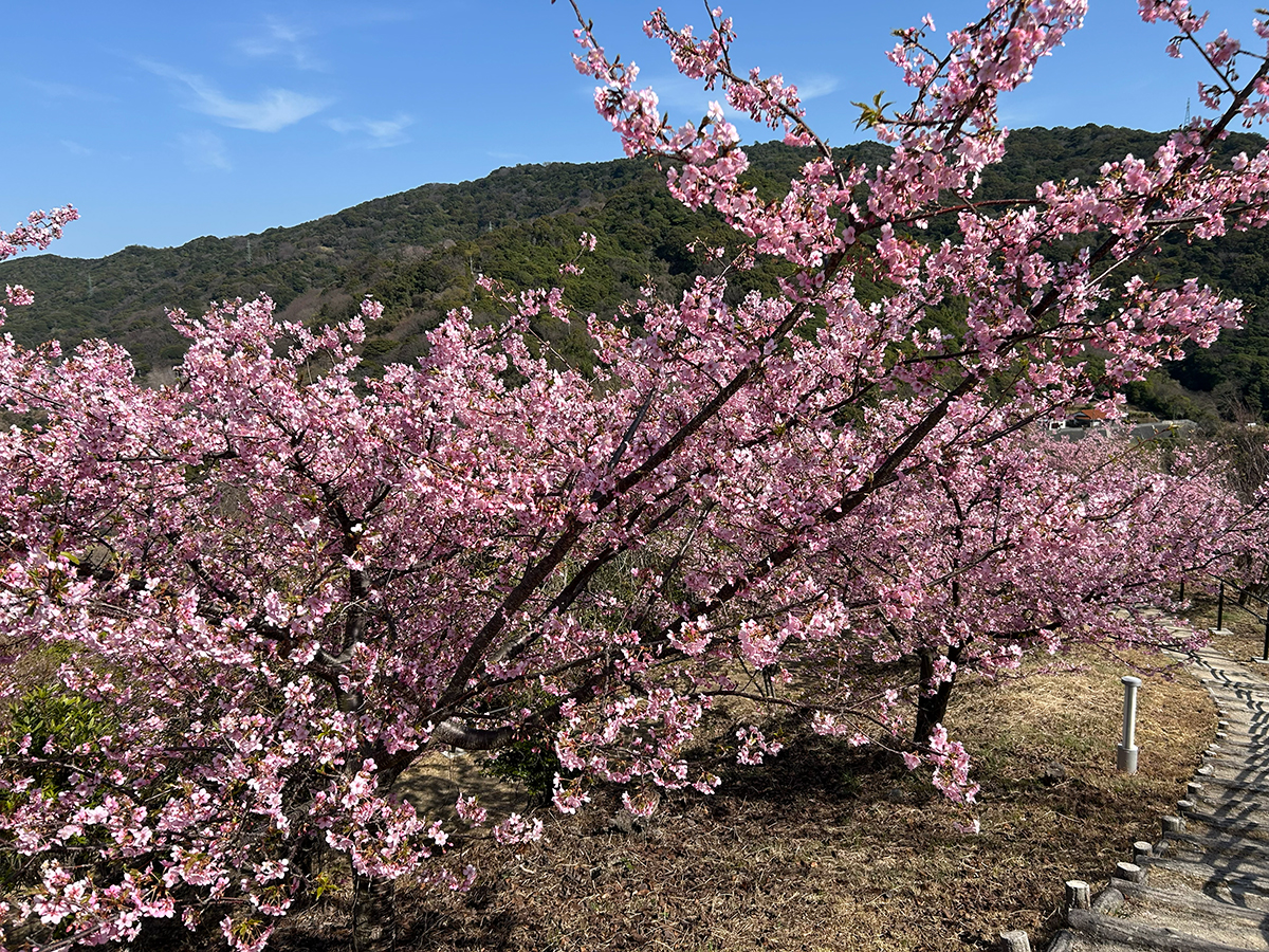 笠戸島を歩くコース　《やまぐち健幸アプリ：リアルウォークコース》　