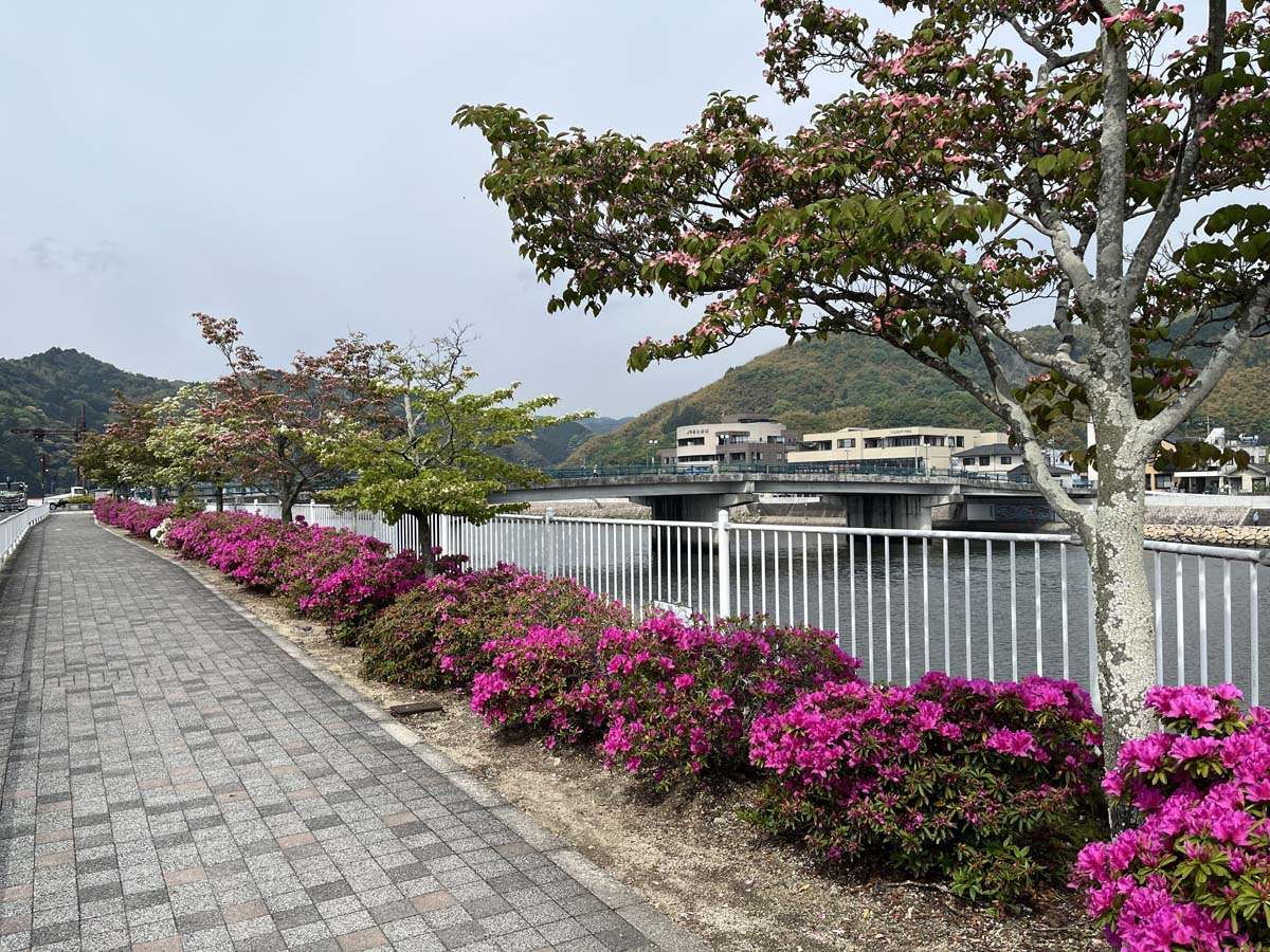 小瀬川マイナスイオンコース（和木町）
